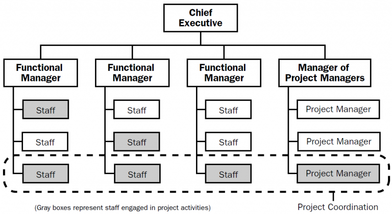 The 4 Types of Project Organizational Structure